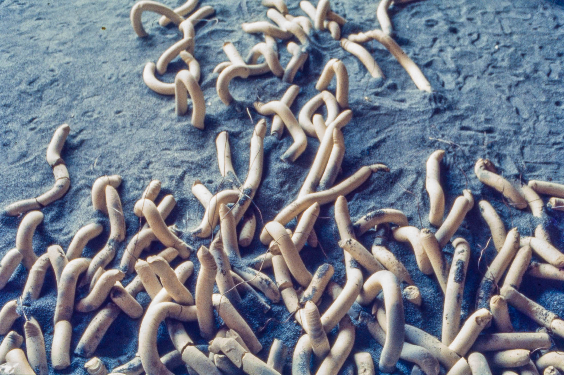 1988_蕭麗虹 Margaret Shiu Tan_作品_追求？ Quest__MST-Q-03